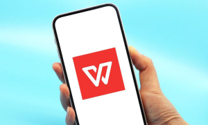 64位Windows系统如何下载WPS？